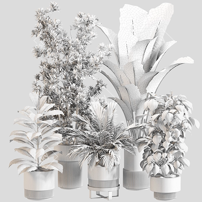 Modern Indoor Plant Decor Set 3D model image 5