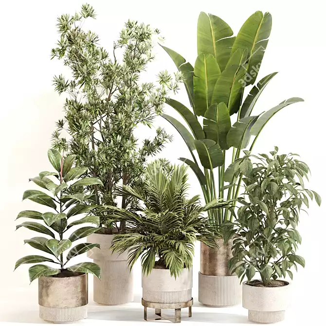 Modern Indoor Plant Decor Set 3D model image 6