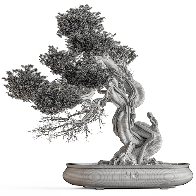 Bonsai Plant 754  Indoor 3D model image 6