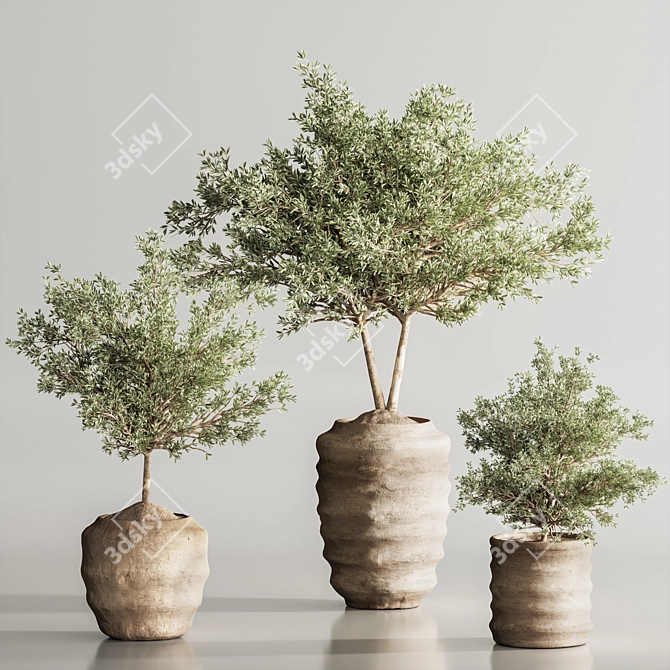 Modern Olive Indoor Plant Set 3D model image 2