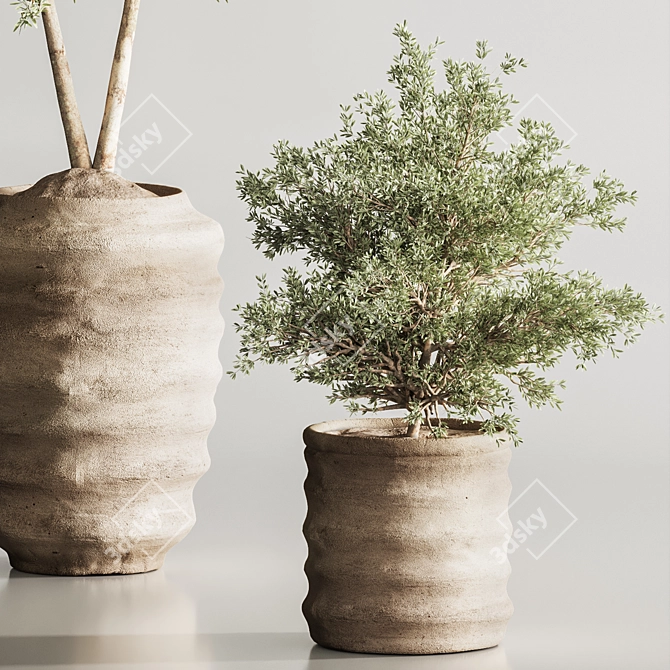 Modern Olive Indoor Plant Set 3D model image 5