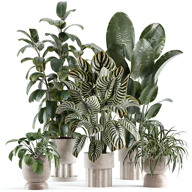 Modern Indoor Plant Model 224 3D model image 1