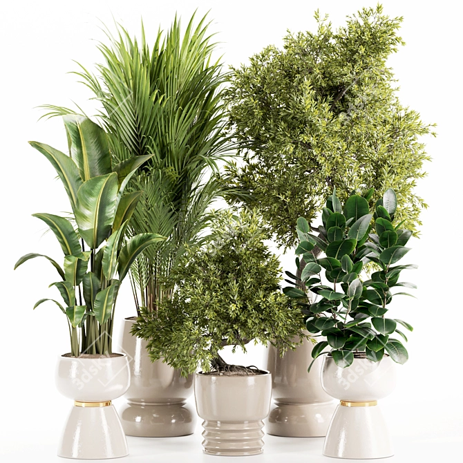 Premium Indoor Plants Set 107 3D model image 1