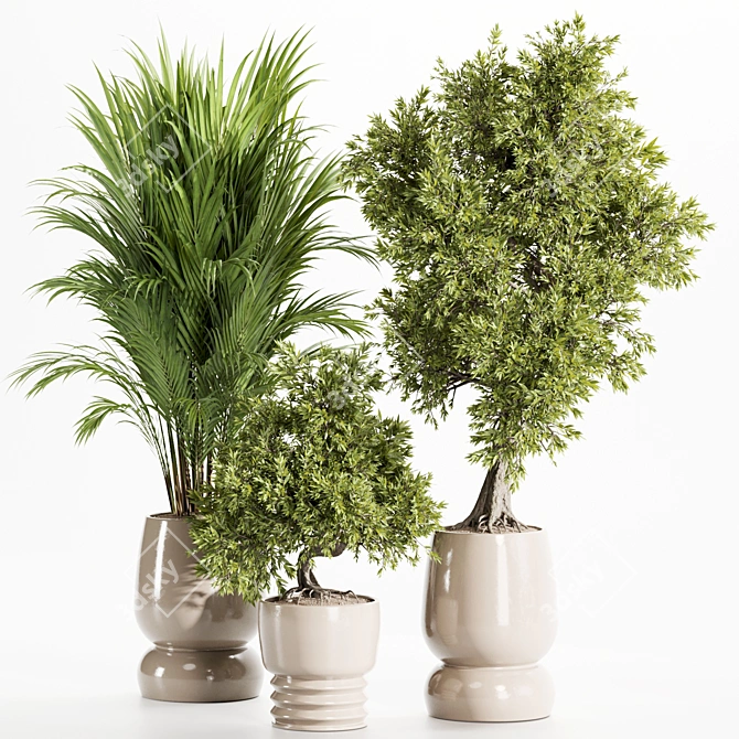 Premium Indoor Plants Set 107 3D model image 2