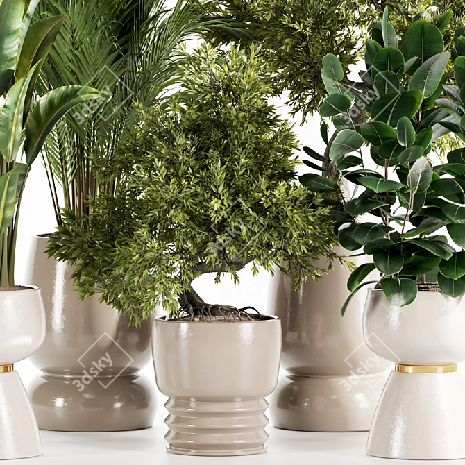 Premium Indoor Plants Set 107 3D model image 3