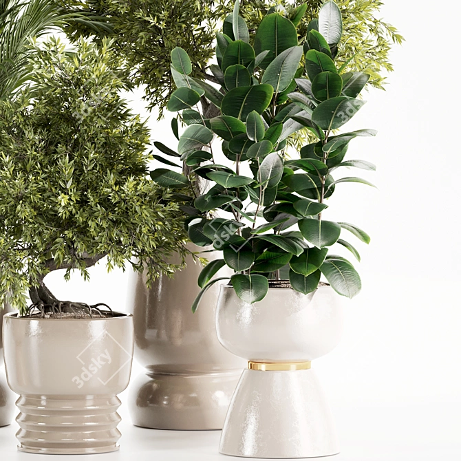 Premium Indoor Plants Set 107 3D model image 5