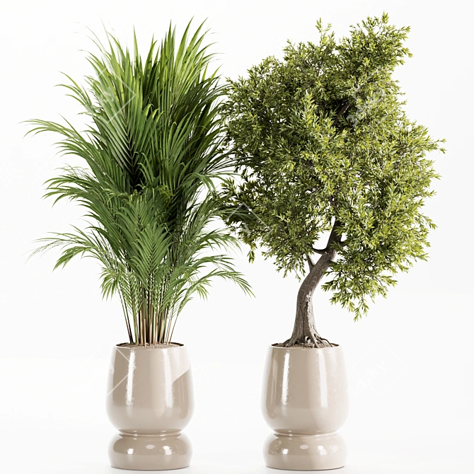 Premium Indoor Plants Set 107 3D model image 6