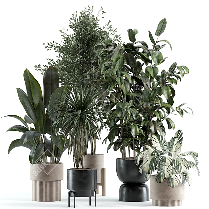 Elegant Model Indoor Plant 225 3D model image 1