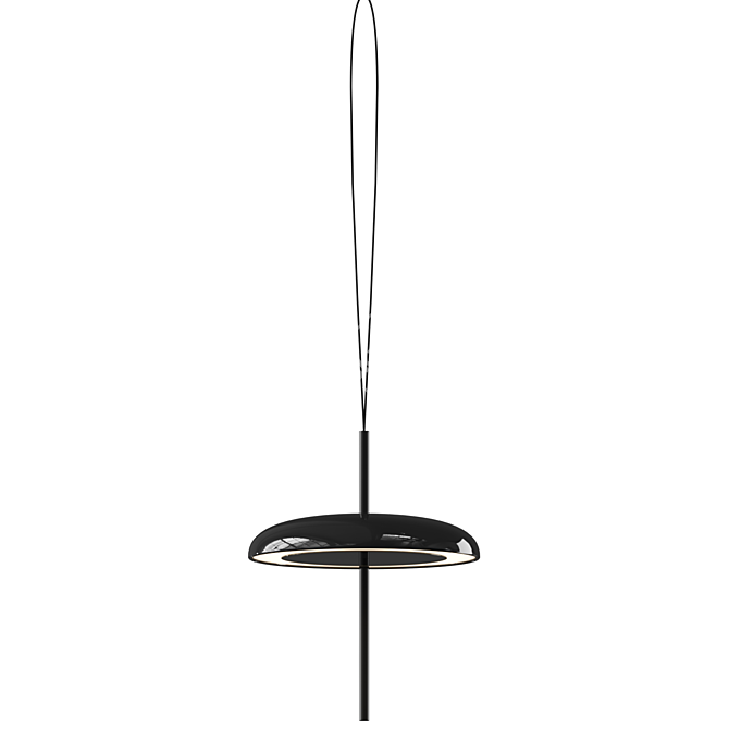 Rotatable Outdoor Pendant Lamp 3D model image 2