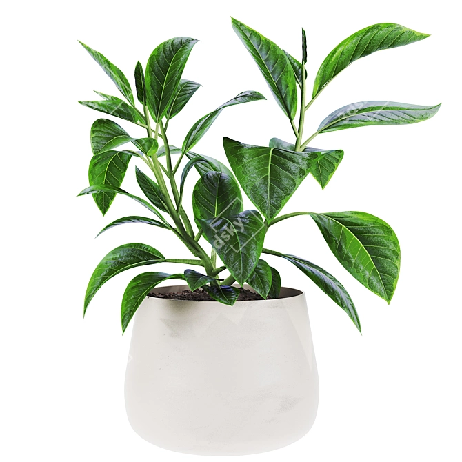 High Poly 3D Plants Set 3D model image 1