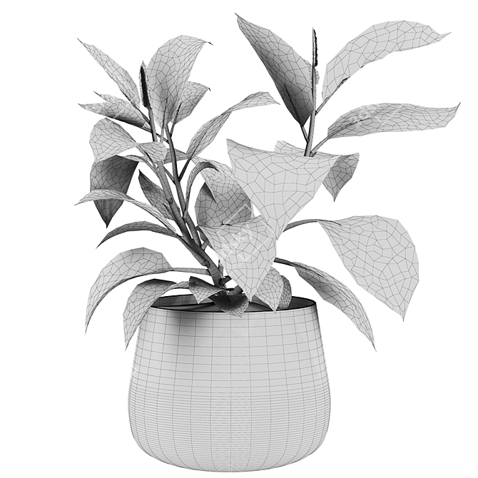 High Poly 3D Plants Set 3D model image 2