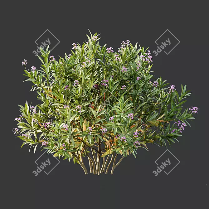 Exotic 3D Plant Models Collection 3D model image 2