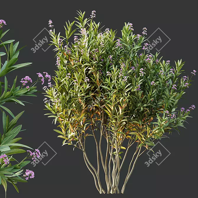 Exotic 3D Plant Models Collection 3D model image 4