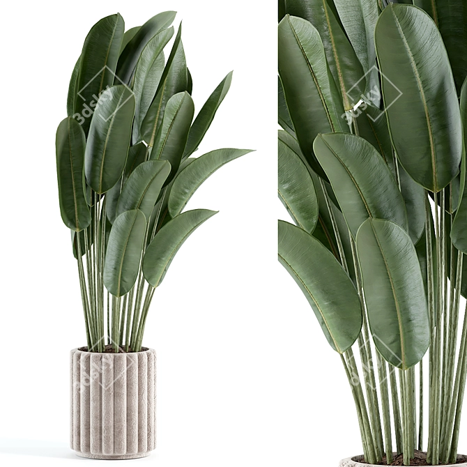 Custom Indoor Plant Model 235 3D model image 2