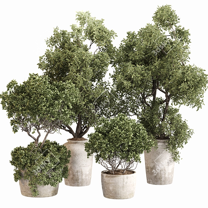 Serene Outdoor Plant Set 012 3D model image 1