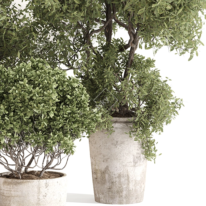 Serene Outdoor Plant Set 012 3D model image 3