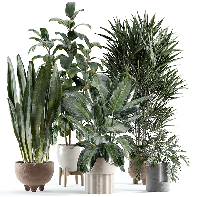 Custom Indoor Plant 3D Model 3D model image 1