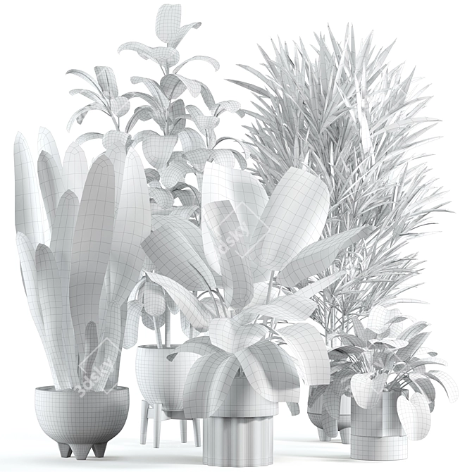 Custom Indoor Plant 3D Model 3D model image 2