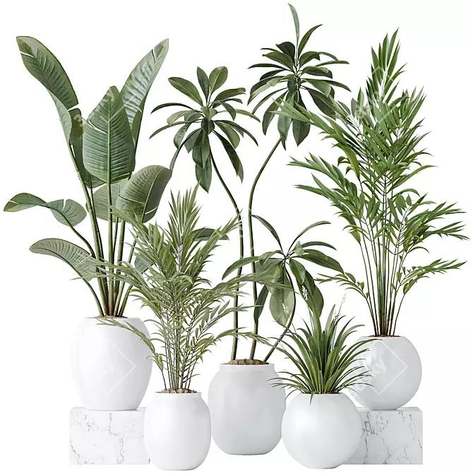 Premium Indoor Plant Set Collection 3D model image 1