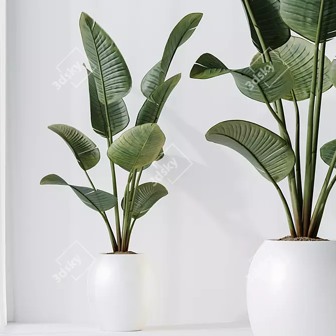 Premium Indoor Plant Set Collection 3D model image 3