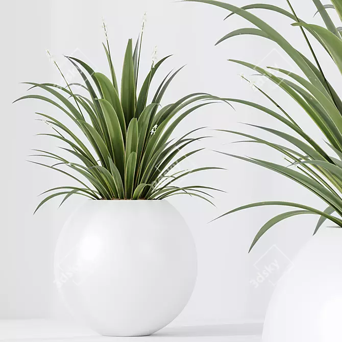 Premium Indoor Plant Set Collection 3D model image 6