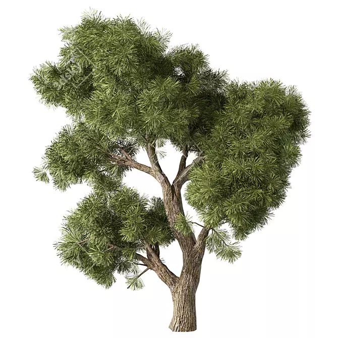  Elegant Tree No.107 Sculpture 3D model image 1