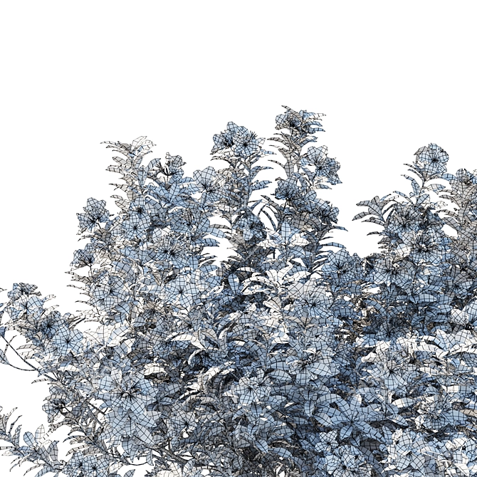 Elegant White Rhododendron Pulchrum 2017 3D model image 4