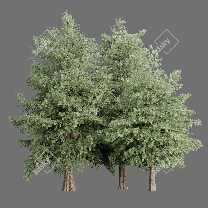 Grove Collection: Volume 78 3D model image 1