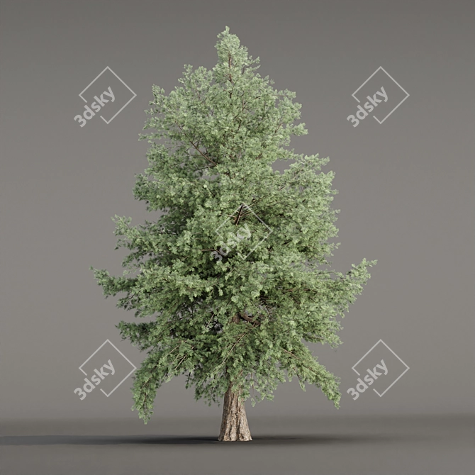 Grove Collection: Volume 78 3D model image 2