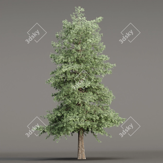 Grove Collection: Volume 78 3D model image 3