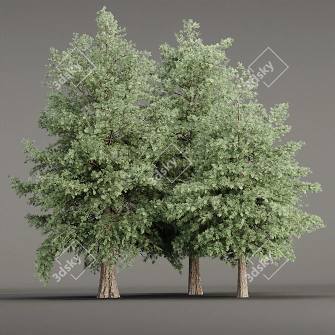 Grove Collection: Volume 78 3D model image 8