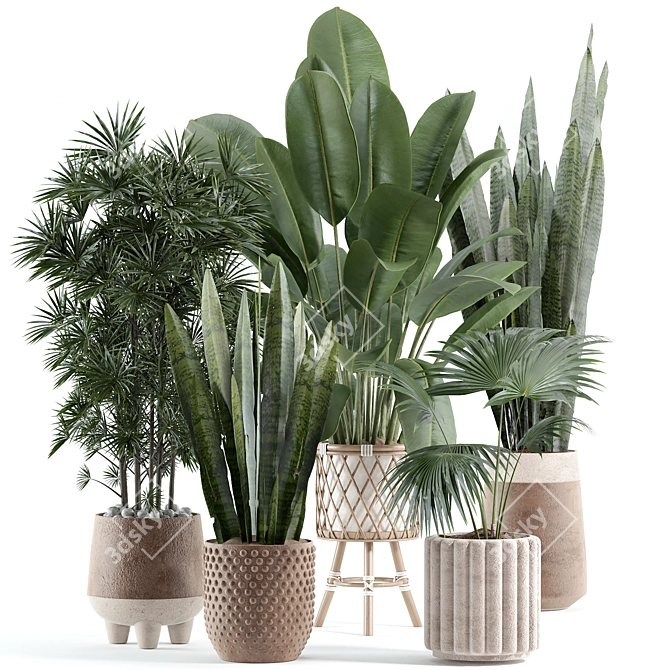 Customizable Indoor Plant Model 3D model image 1