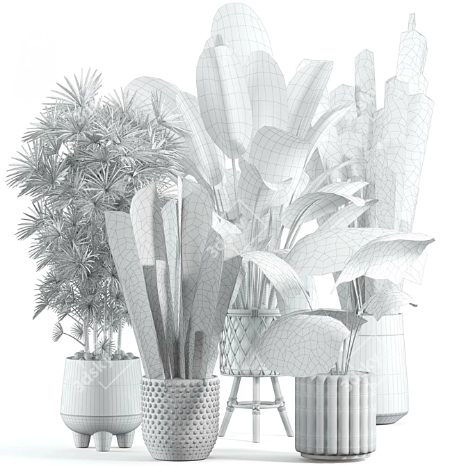 Customizable Indoor Plant Model 3D model image 2