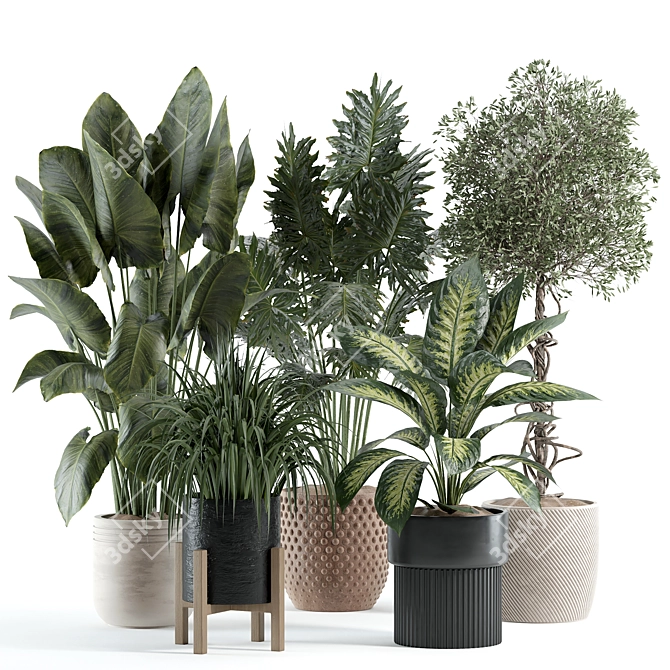 Customizable Indoor Plant 3D Model 3D model image 1