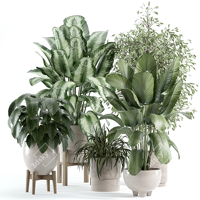 Custom Indoor Plant Model 246 3D model image 1