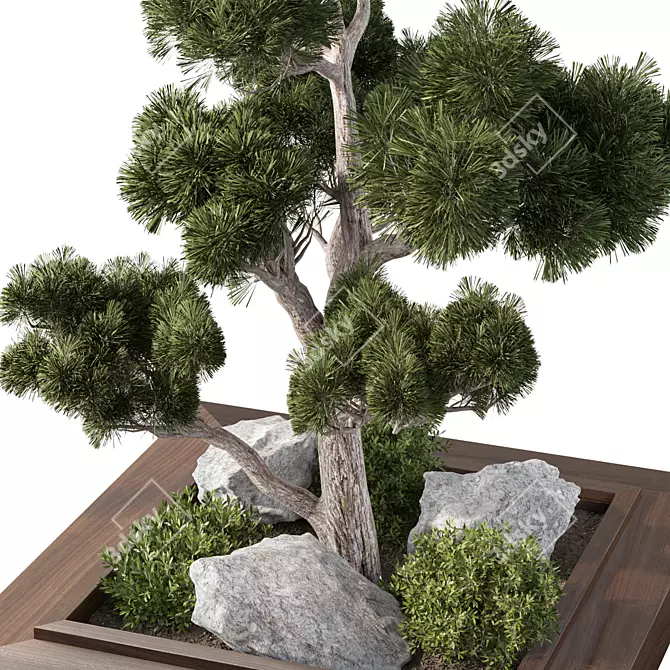 Modern Indoor Plant Set Bundle 3D model image 2