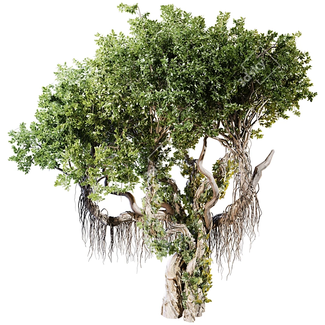 Jungle Tree & Ivy Plants Kit 3D model image 1