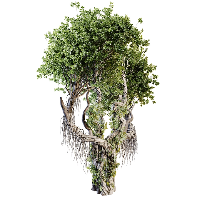 Jungle Tree & Ivy Plants Kit 3D model image 2