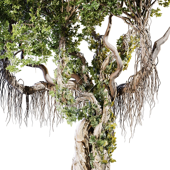 Jungle Tree & Ivy Plants Kit 3D model image 3