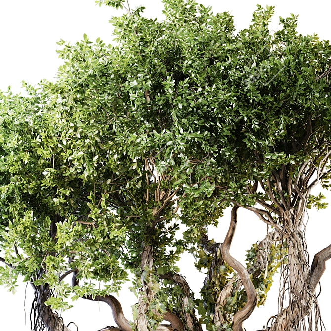 Jungle Tree & Ivy Plants Kit 3D model image 4