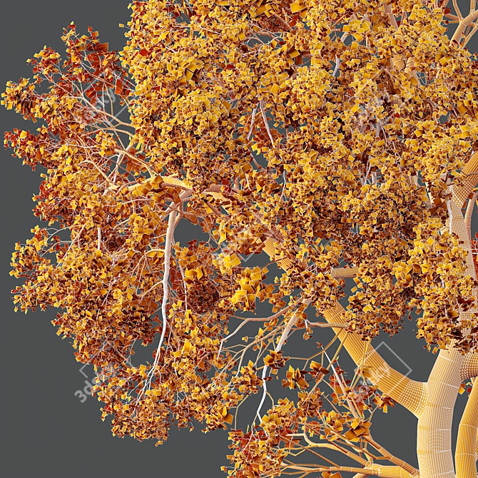 Sal Tree Model HQ 3D 3D model image 4