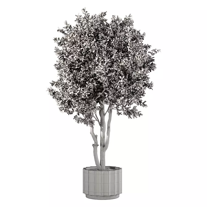 Luxury Indoor Plant Set Ensemble 3D model image 3