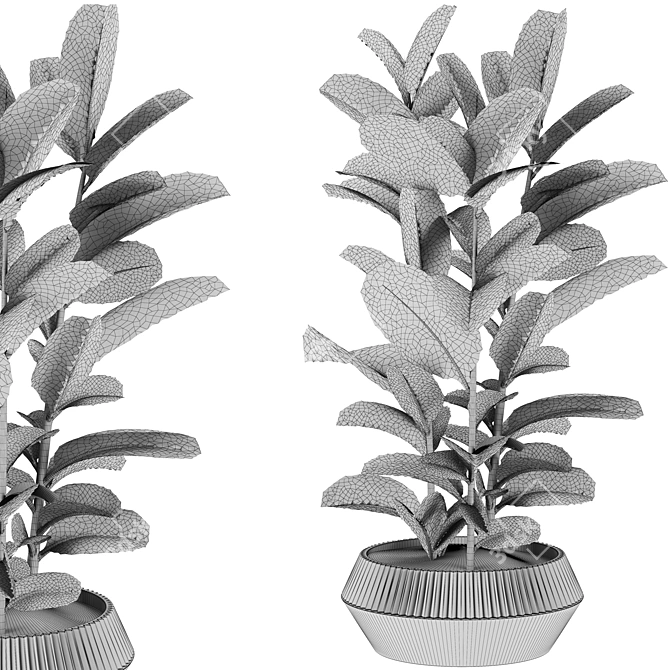 Variety Plants Collection 3D Render 3D model image 3