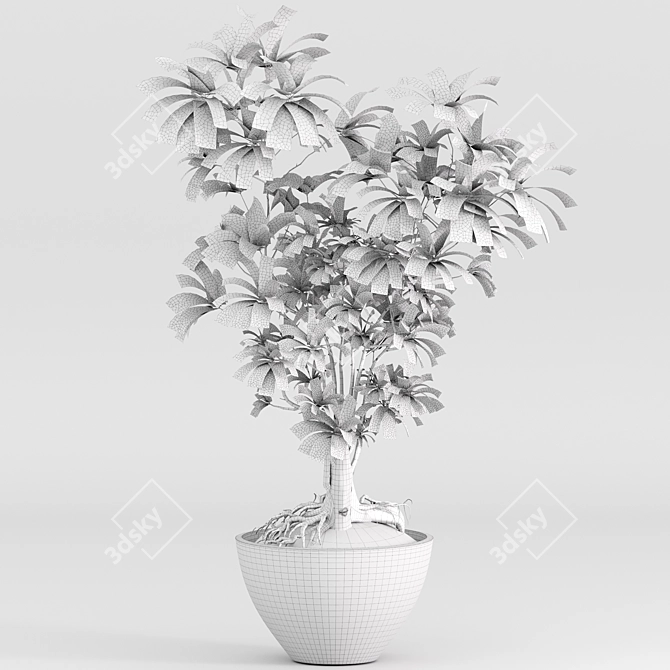 Schefflera Arboricola Indoor Plant Vase 3D model image 5