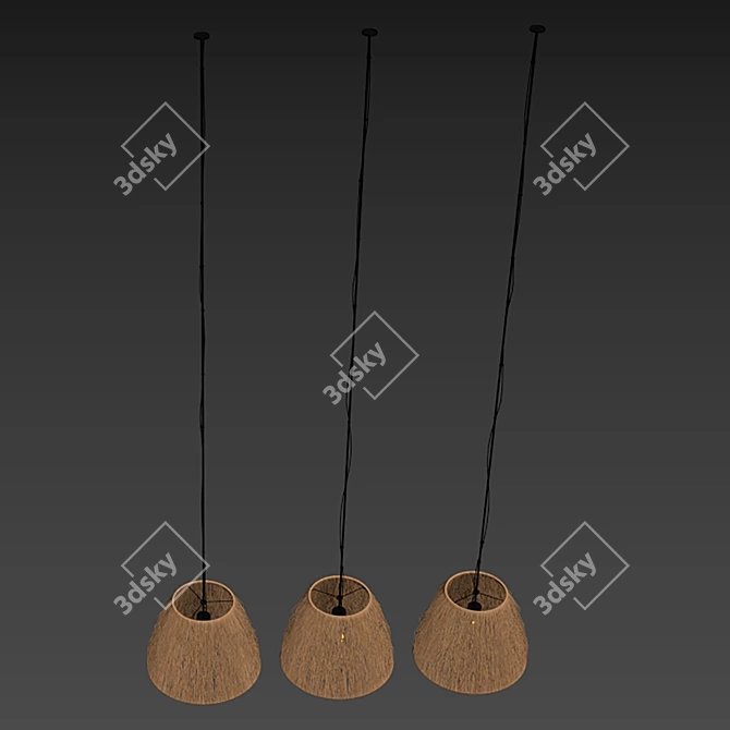 Elegant Wicker Lamp Set, 3D 3D model image 5