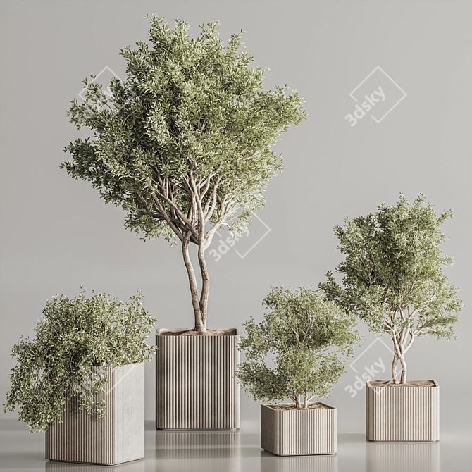 Sleek Indoor Plant Set 146 3D model image 5