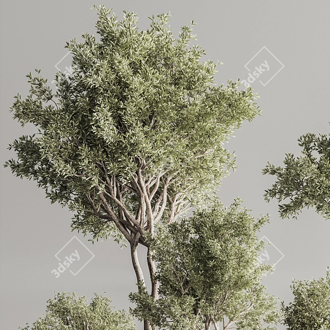 Sleek Indoor Plant Set 146 3D model image 8