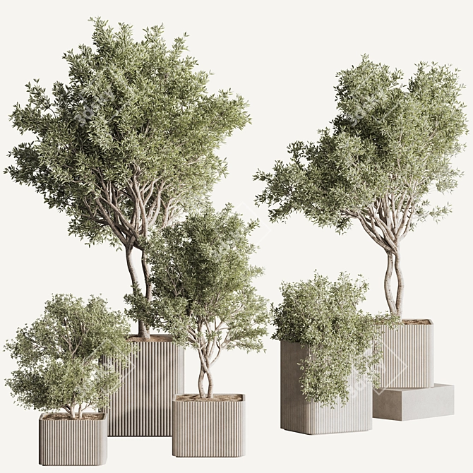 Sleek Indoor Plant Set 146 3D model image 10