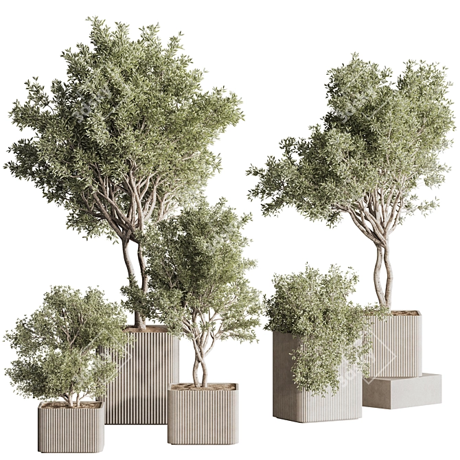 Sleek Indoor Plant Set 146 3D model image 11