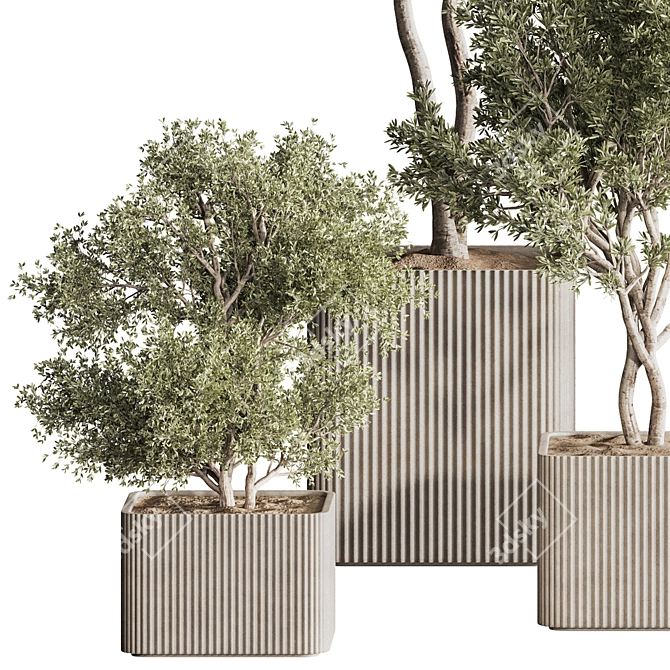 Sleek Indoor Plant Set 146 3D model image 1